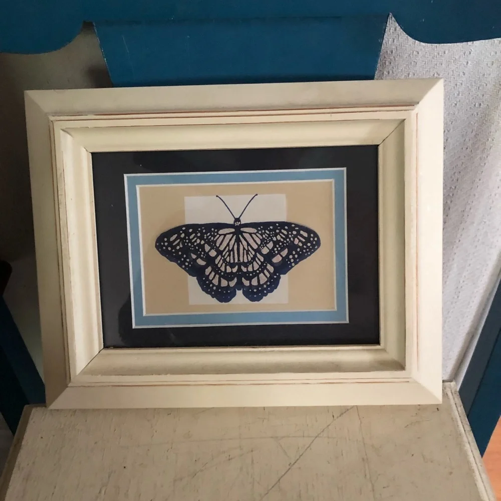 Framed Butterfly Print